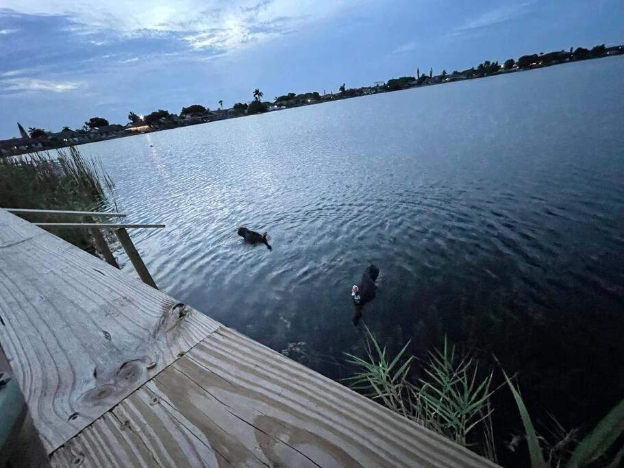 Supervilla - Lakefront - Sunsets, Kayaks, Grill フォート・ローダーデール エクステリア 写真